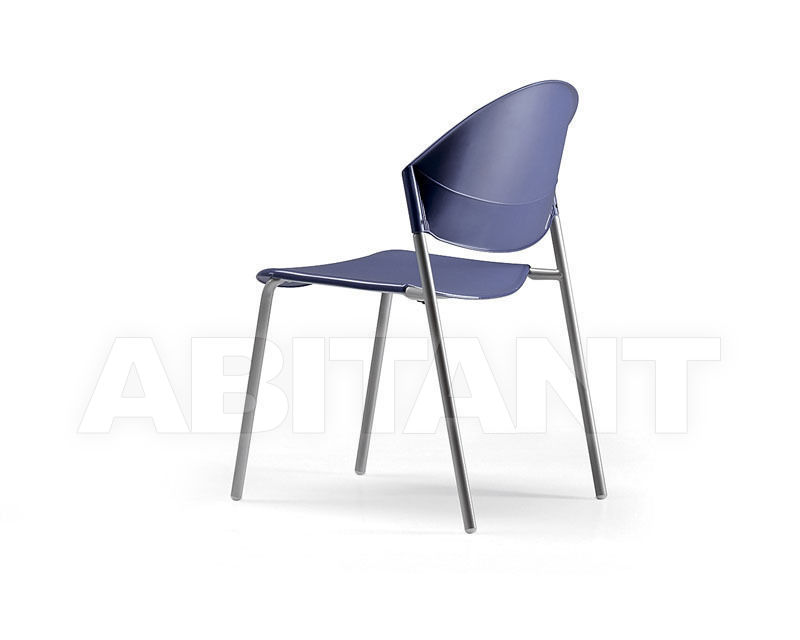 Chair DELFI DELFI 083-2 price on request Buy Chair DELFI Talin 2015 DELFI 083-2