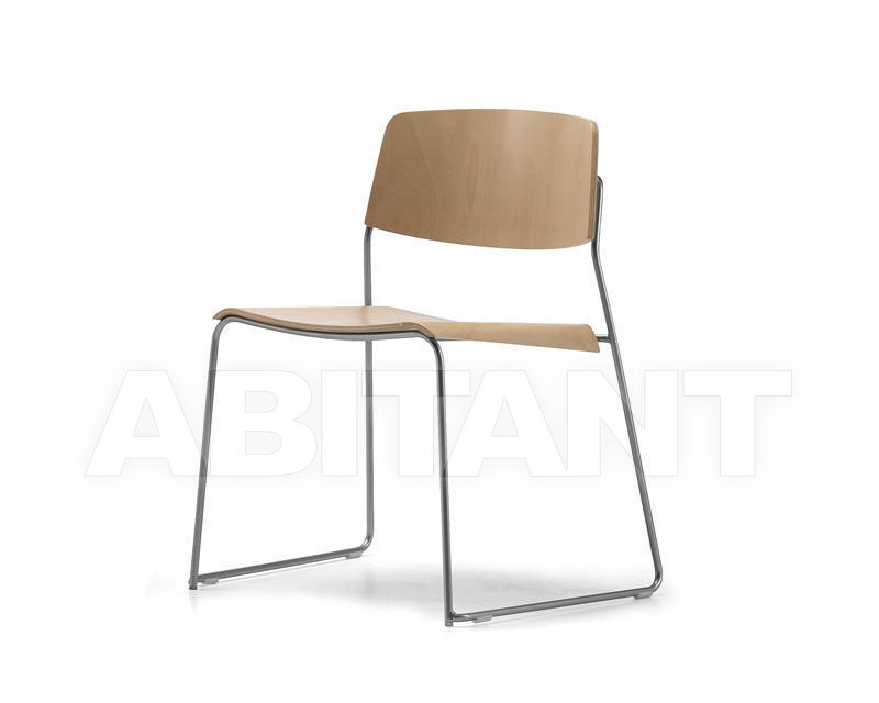 Buy Chair SIGMA Talin 2015 SIGMA 165-BEIGE