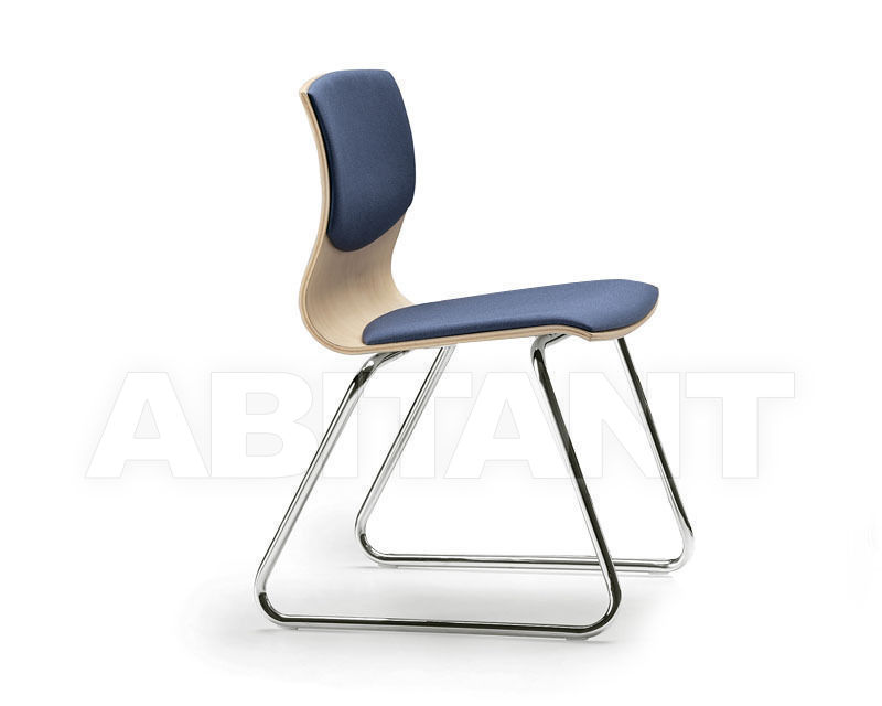 Chair WEBWOOD WEBWOOD 350-BLUE price on request Buy Chair WEBWOOD Talin 2015 WEBWOOD 350-BLUE