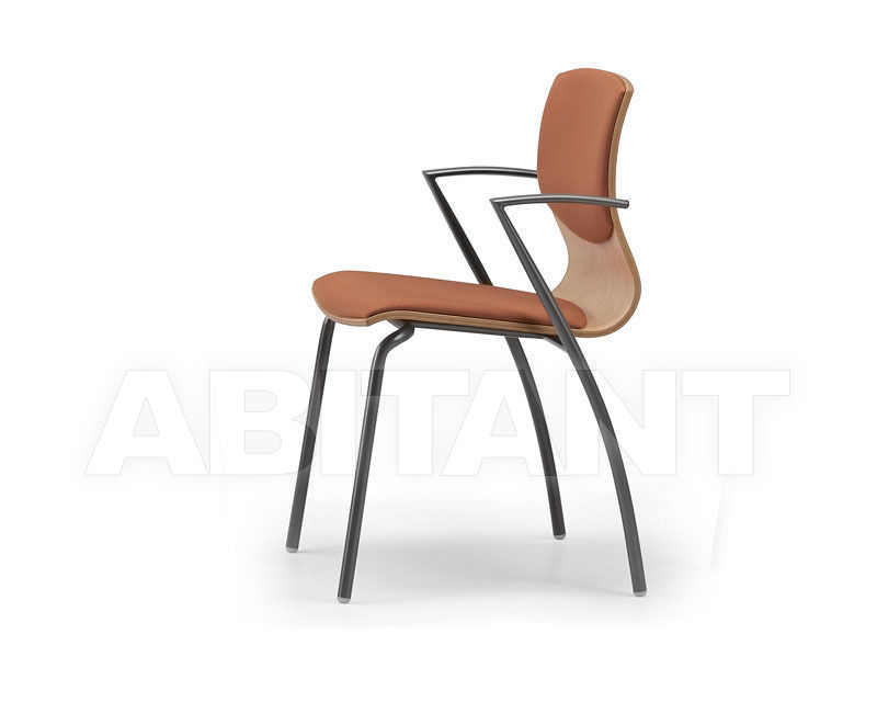 Buy Armchair WEBWOOD Talin 2015 WEBWOOD 354-2