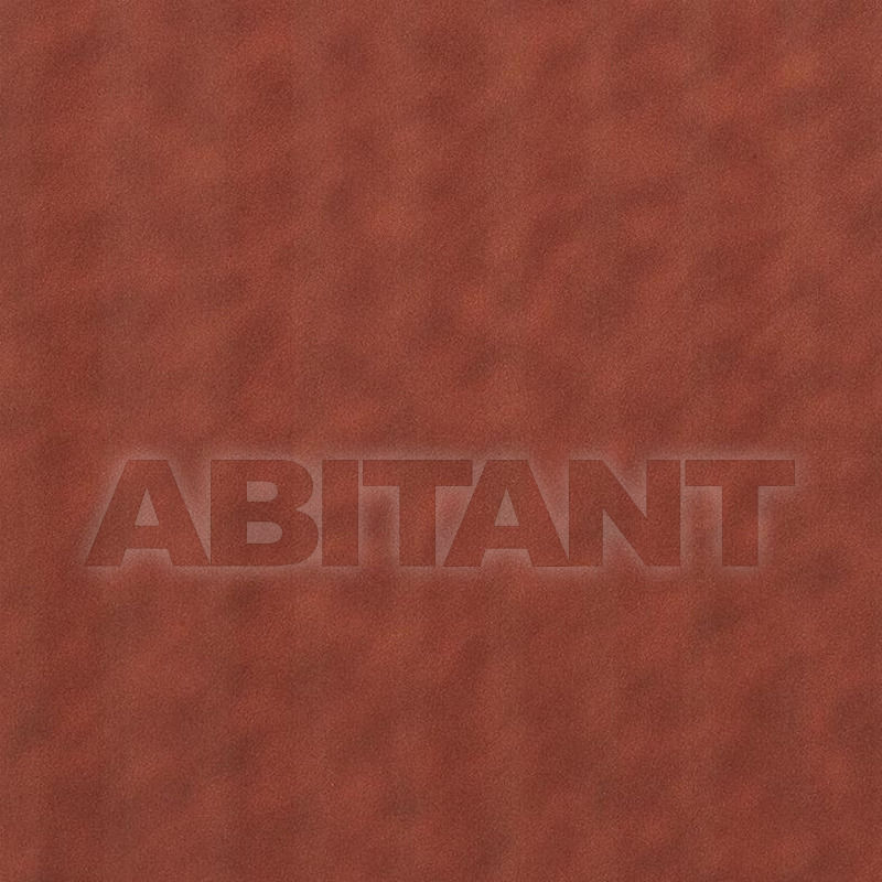 Buy Paper wallpaper URBAN SHADOW TERRE Casamance URBAN 9073386