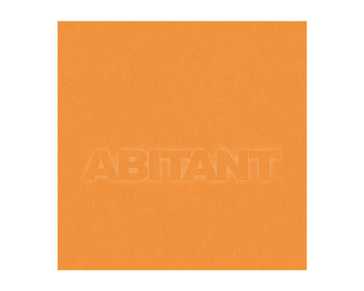 Buy Wall tile Ceramica Bardelli  DESIGN COLORE & COLORE 27