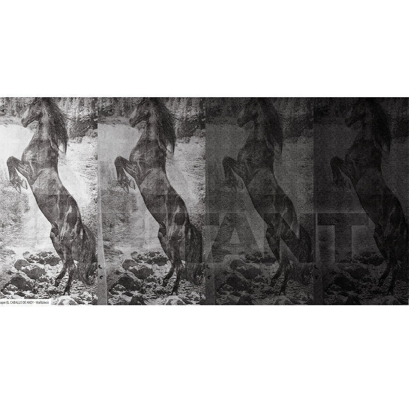 Buy Vinyl wallpaper EL CABALLO DE ANDY Wall&Decò  CONTEMPORARY WALLPAPER WDEC1301