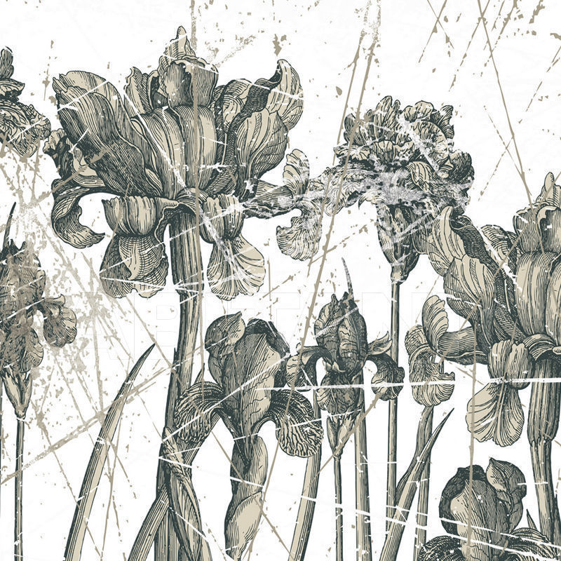 Vinyl wallpaper HERBARIUM WDHE1101 price on request Buy Vinyl wallpaper HERBARIUM Wall&Decò CONTEMPORARY WALLPAPER WDHE1101