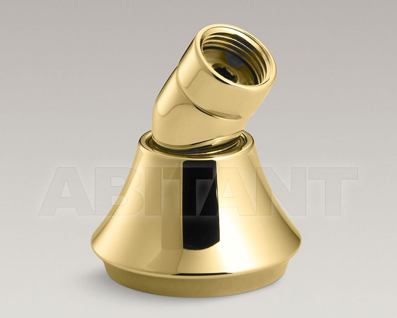 Buy Holder for shower head Forté Kohler 2015 K-368-PB