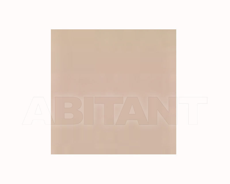 Buy Tile RAL MATT Vitra Arkitekt-Color K891626