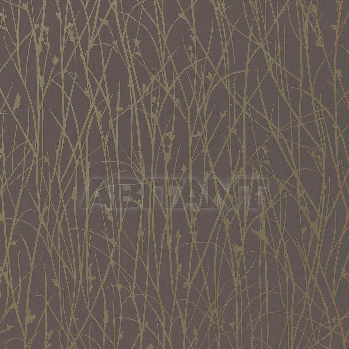 Non-woven wallpaper Grasses HCLA110156 price on request Buy Non-woven wallpaper Grasses Style Library Kallianthi Wallpapers HCLA110156