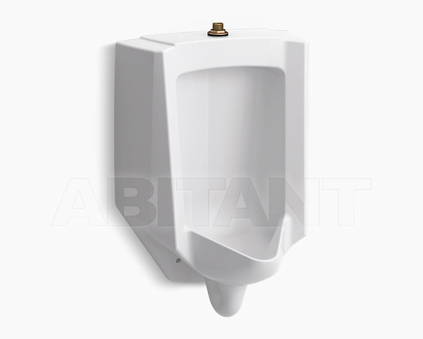 Buy Urinal Bardon Kohler 2015 K-4991-ET-0