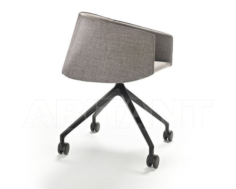 Buy Сhair Plau Tecno spa Home 1PL6041..(02)VO