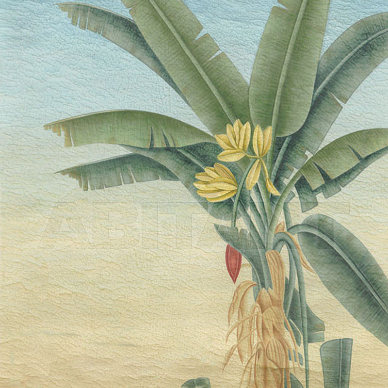 Buy Wallpaper Iksel   Exotica INDES 07