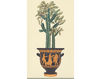 Wallpaper Iksel   Potted Palms Cactus in Crater Oriental / Japanese / Chinese