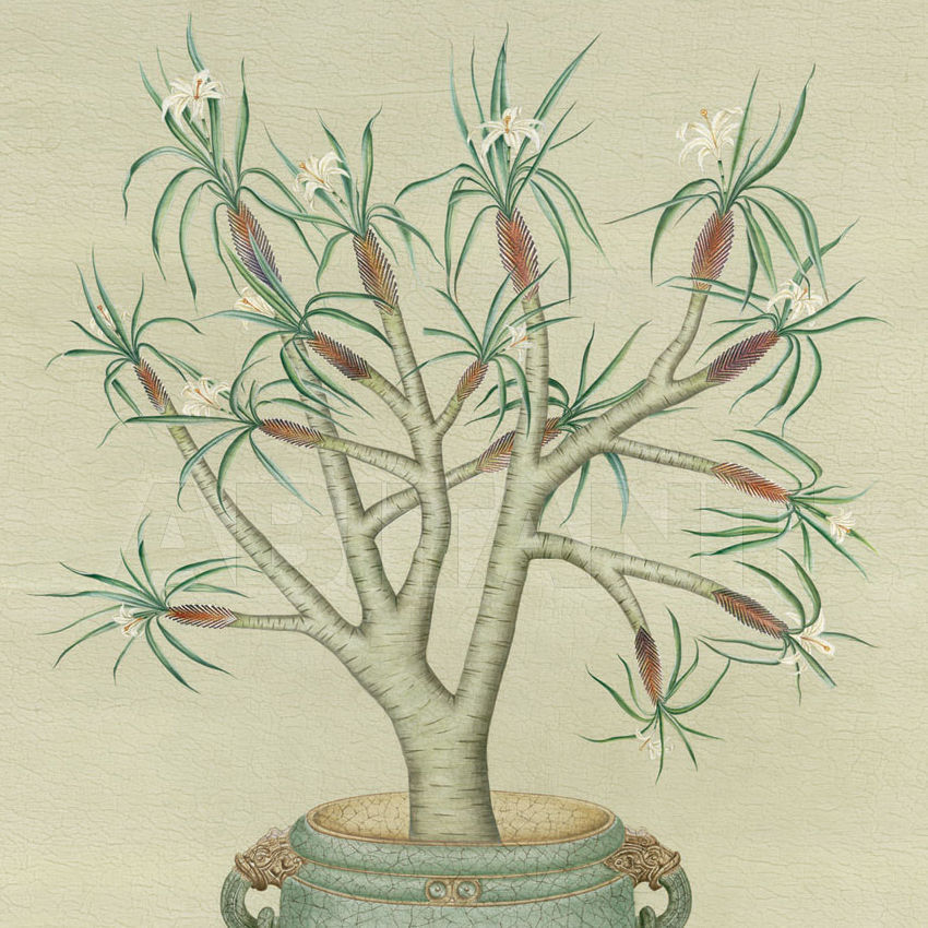 Buy Wallpaper Iksel   Celadon Pots CEL 1