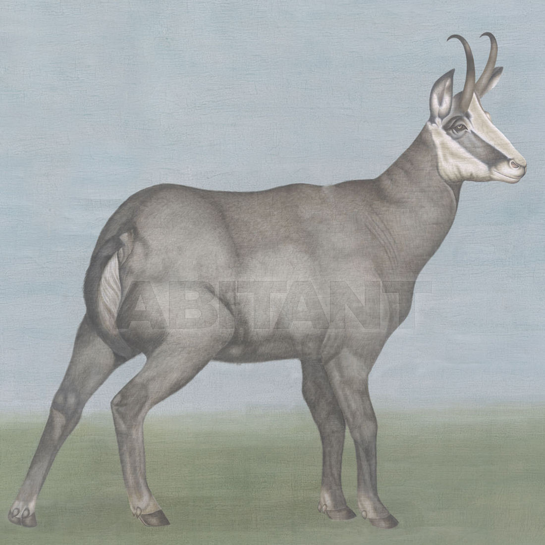 Buy Wallpaper Iksel   Animals IBEX