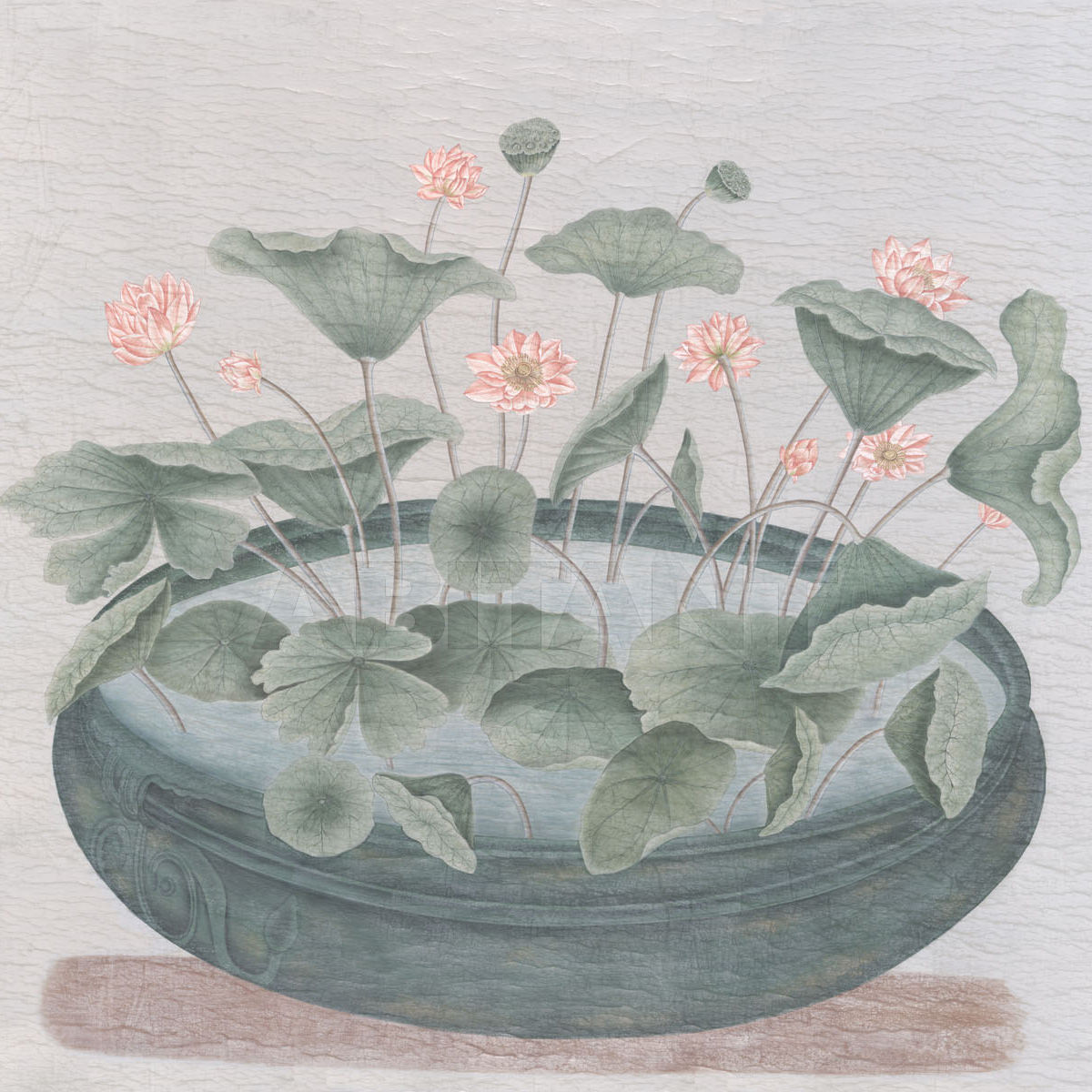 Wallpaper Water Lilies price on request Buy Wallpaper Iksel Water Lilies