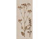 Wallpaper Iksel   Herbier Herb 4 Oriental / Japanese / Chinese