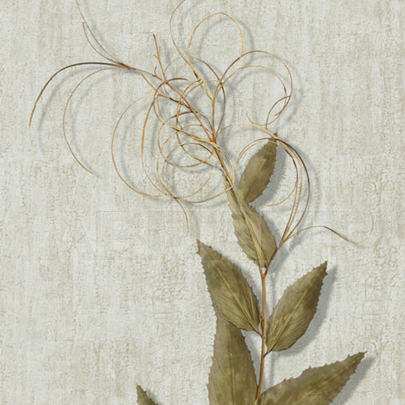 Wallpaper Herbier Herb 6 price on request Buy Wallpaper Iksel Herbier Herb 6