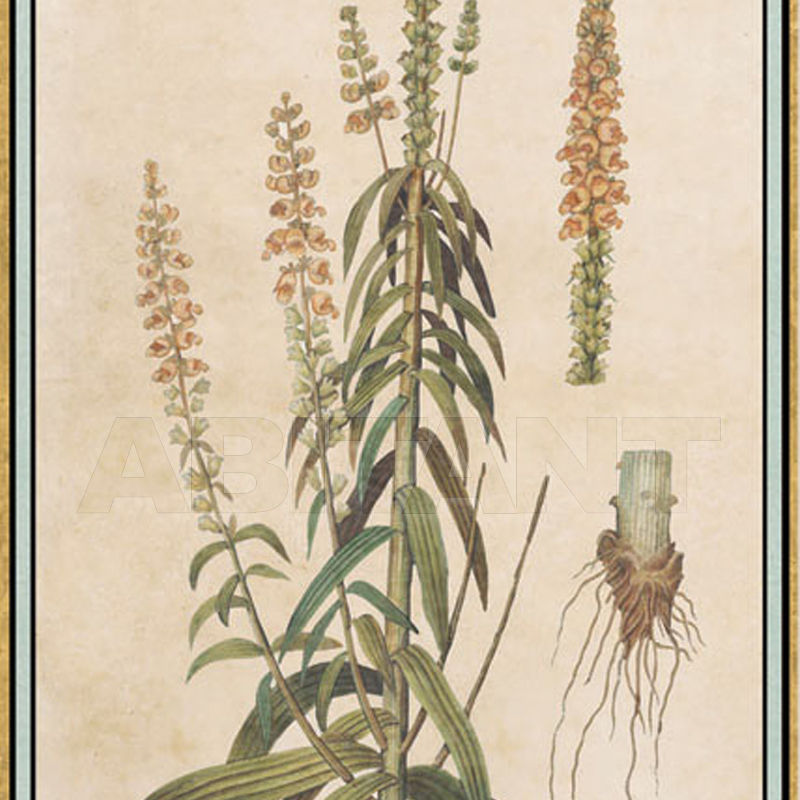 Wallpaper Renaissance Herbier RH 5 price on request Buy Wallpaper Iksel Renaissance Herbier RH 5