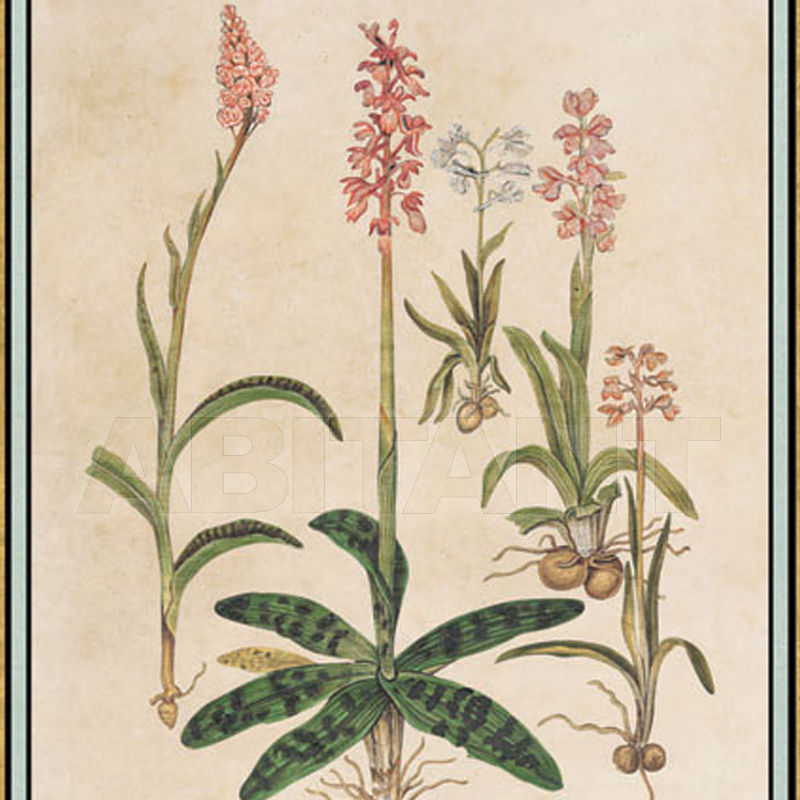 Wallpaper Renaissance Herbier RH 6 price on request Buy Wallpaper Iksel Renaissance Herbier RH 6