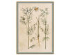 Wallpaper Iksel   Renaissance Herbier RH 10 Oriental / Japanese / Chinese