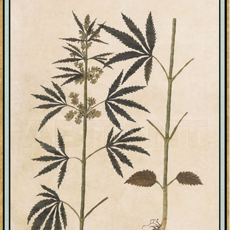 Wallpaper Renaissance Herbier RH 30 price on request Buy Wallpaper Iksel Renaissance Herbier RH 30