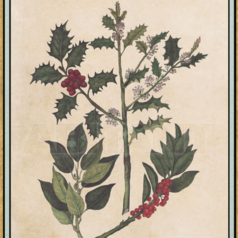 Wallpaper Renaissance Herbier RH 15 price on request Buy Wallpaper Iksel Renaissance Herbier RH 15