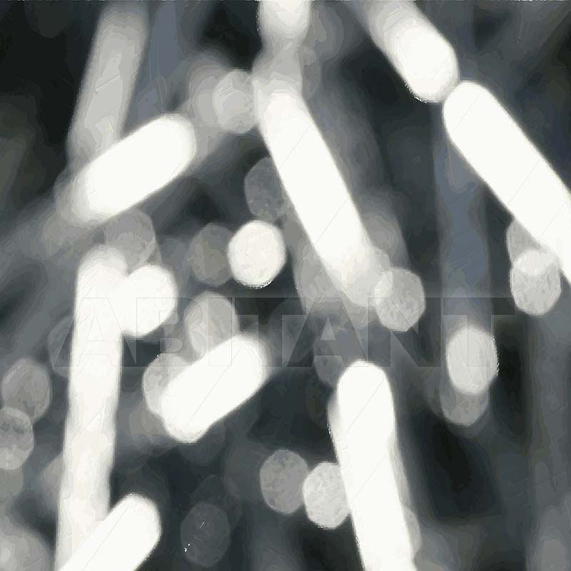 Non-woven wallpaper BLANK 1 price on request Buy Non-woven wallpaper Yo2 BLANK 1