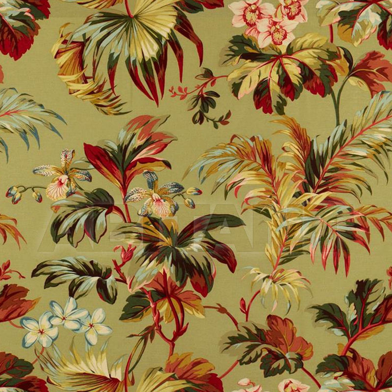 Buy Upholstery  MACAU Brunschwig & Fils 2016 BR-79572.405