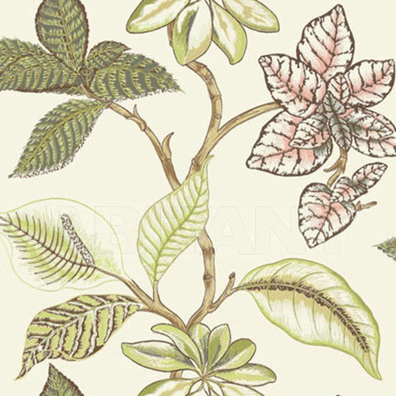 Paper wallpaper LUCALA T5750 price on request Buy Paper wallpaper LUCALA Thibaut Inc. Biscayne T5750