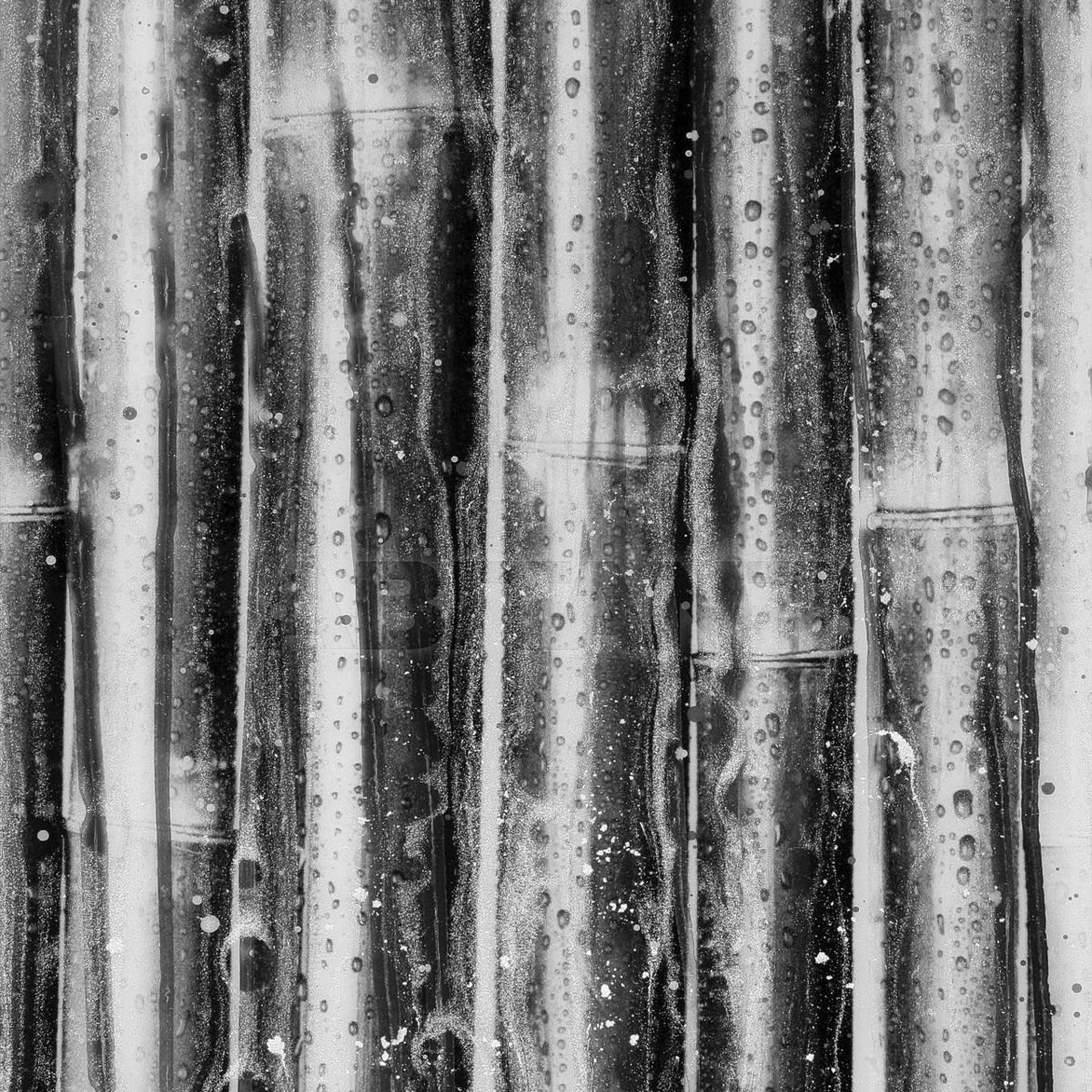 Buy Wall panel Alex Turco Organic Bamboo in Silver