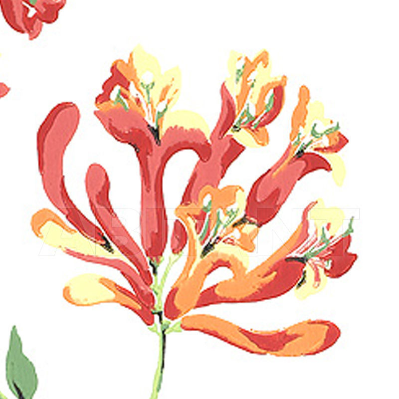 Buy Paper wallpaper HONEYSUCKLE Thibaut Inc. Seaside T6725