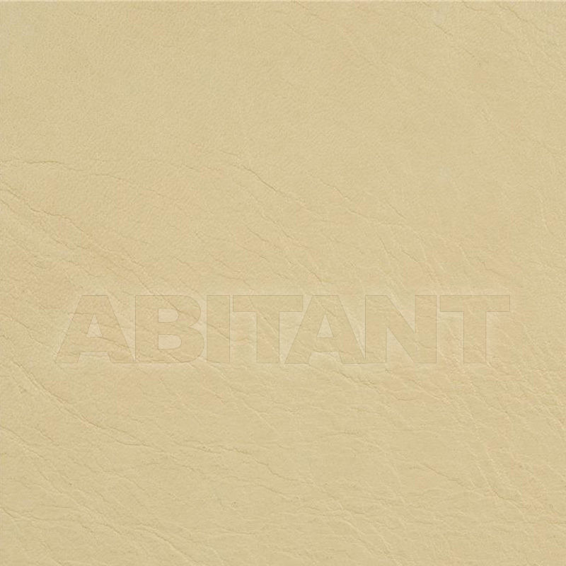 Upholstery L-COACHMAN PALOMINO price on request Buy Upholstery Kravet FABRICS L-COACHMAN PALOMINO