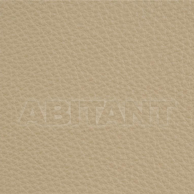 Buy Upholstery Kravet FABRICS L-DELUXE STONE