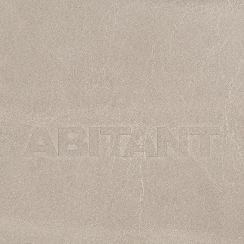 Upholstery L-KADEN CEMENT price on request Buy Upholstery Kravet FABRICS L-KADEN CEMENT