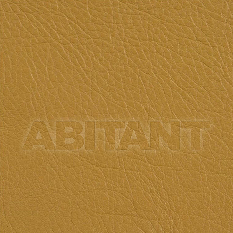 Upholstery L-RANCHO GOLD price on request Buy Upholstery Kravet FABRICS L-RANCHO GOLD