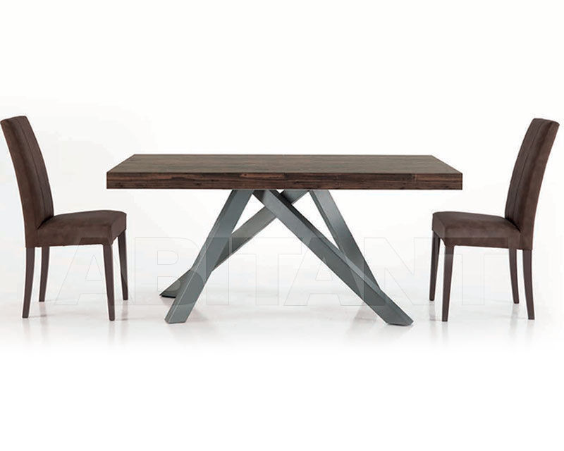 Buy Modern carpet Di Lazzaro 2016 T24.02 steel