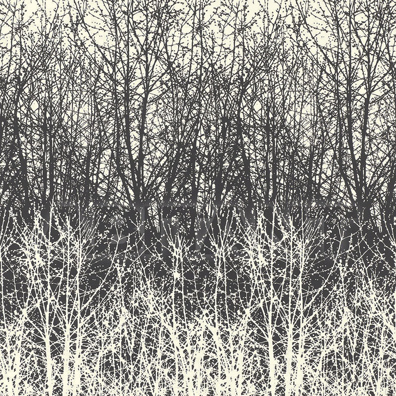 Buy Wallpaper BIRCHES F. Schumacher & Co. WALLCOVERINGS 2707243
