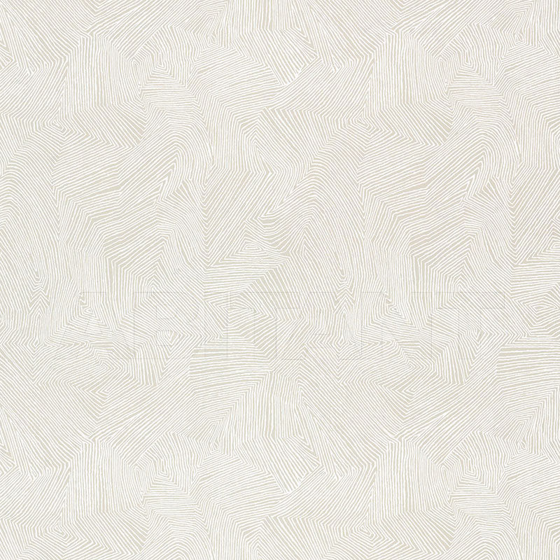 Buy Wallpaper LABYRINTH F. Schumacher & Co. WALLCOVERINGS 5007540