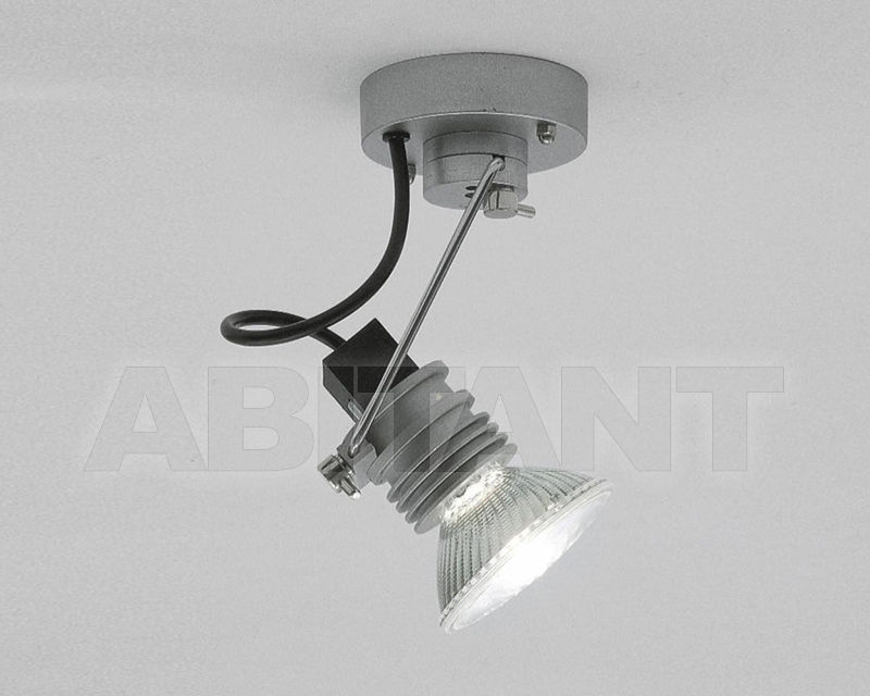 Buy Spot light Martinelli Luce 2017 TRIK/BE/AD