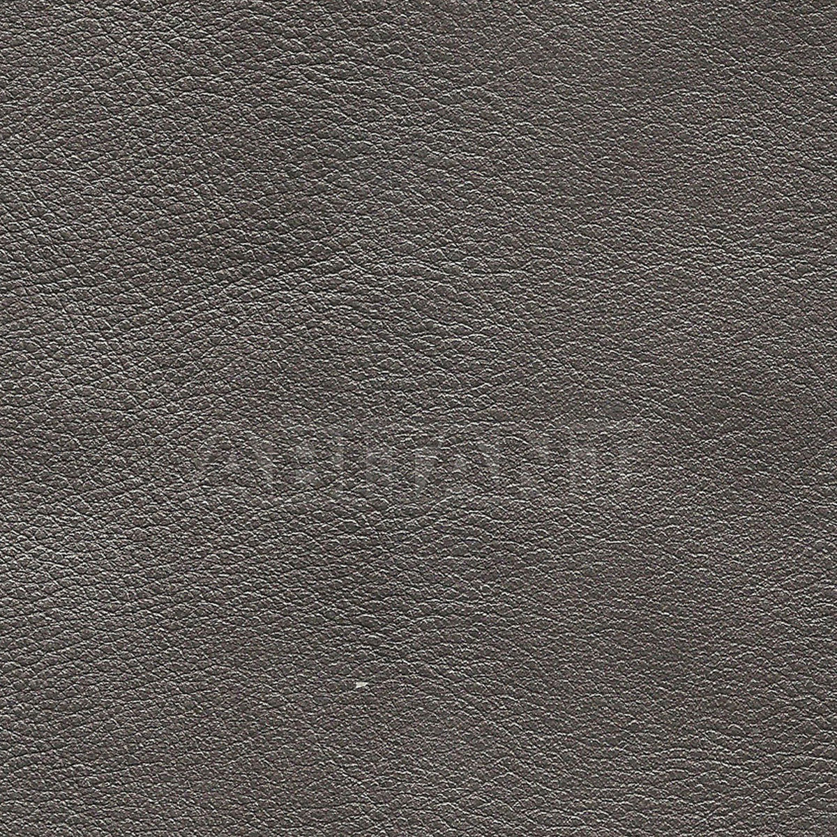 Upholstery CASABLANCA SMOKE price on request Buy Upholstery Taylor King LEATHERS CASABLANCA SMOKE