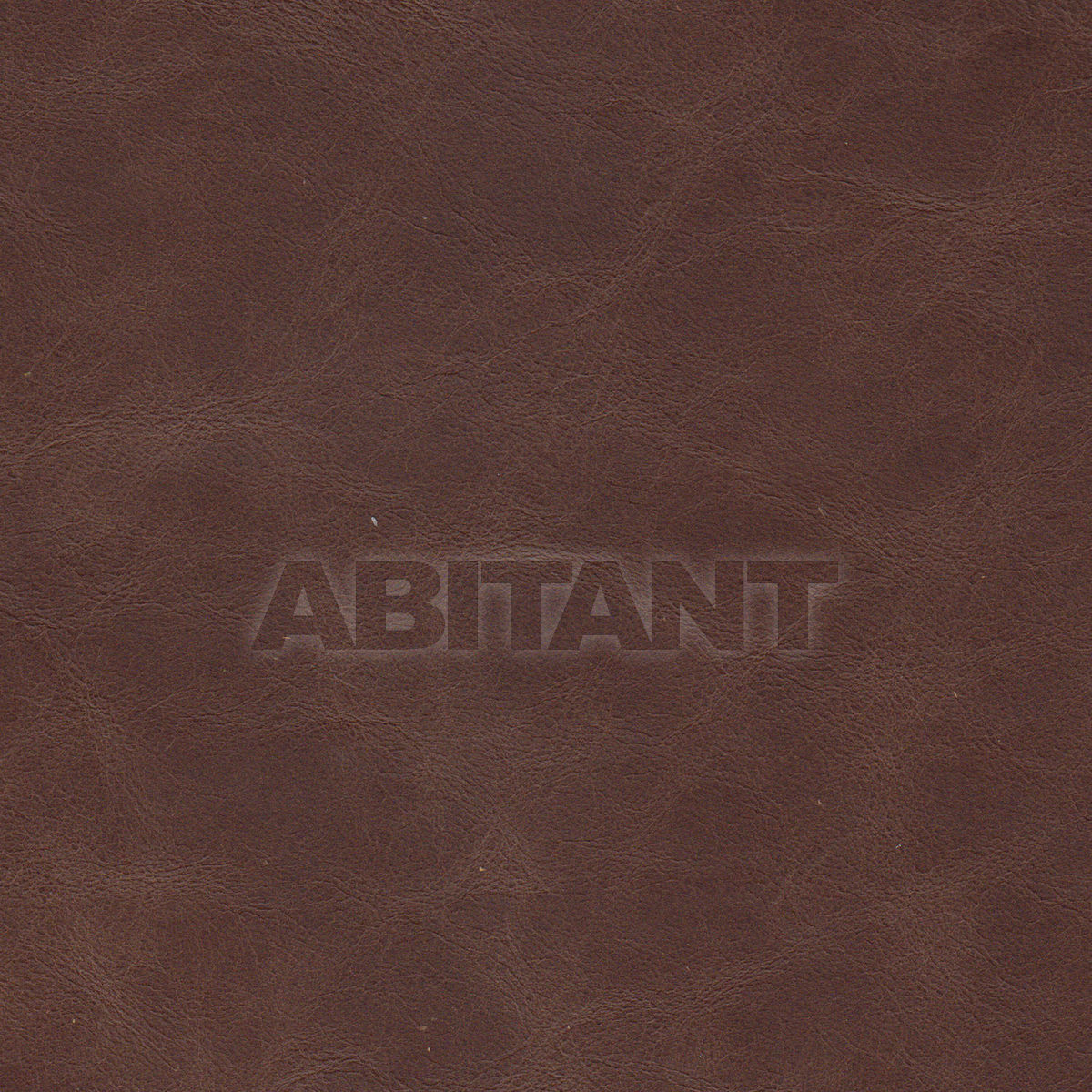 Buy Upholstery  Taylor King LEATHERS CASINO TOBACCO