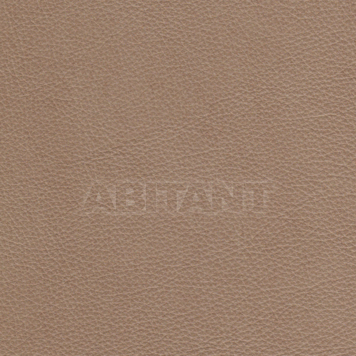 Upholstery EVOLUTION BAVARIAN price on request Buy Upholstery Taylor King LEATHERS EVOLUTION BAVARIAN