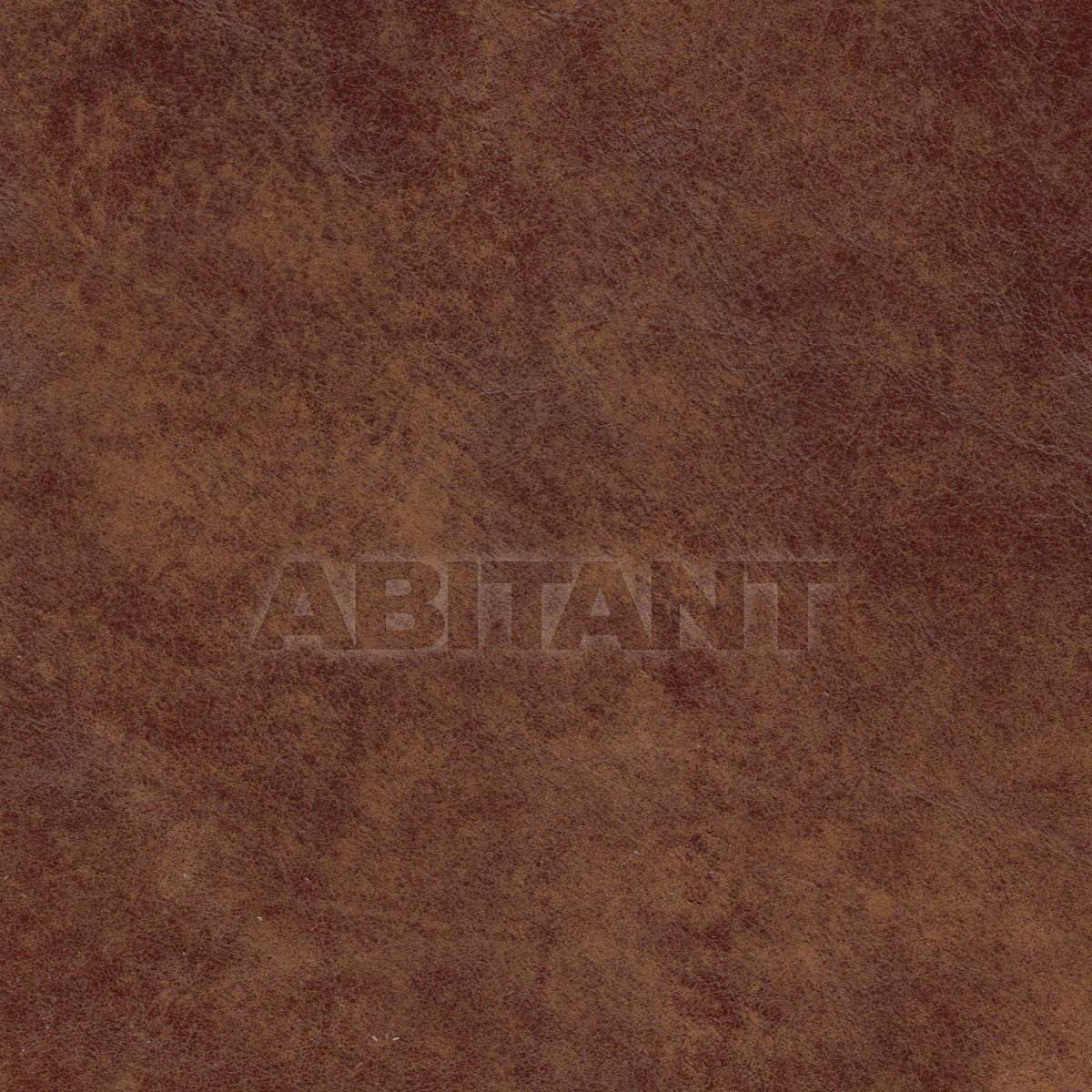 Upholstery STALLONE RAWHIDE price on request Buy Upholstery Taylor King LEATHERS STALLONE RAWHIDE