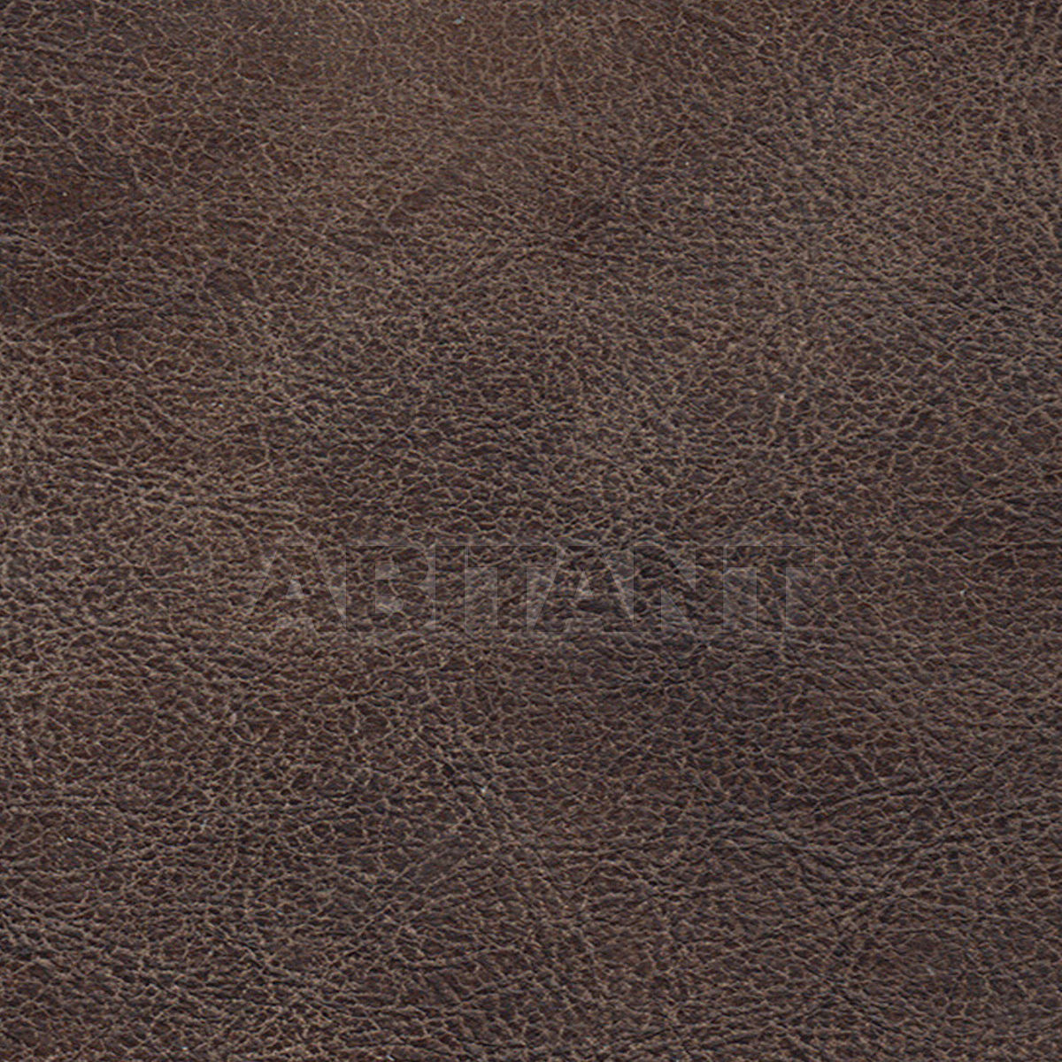 Buy Upholstery  Taylor King LEATHERS STAMPEDE BISON