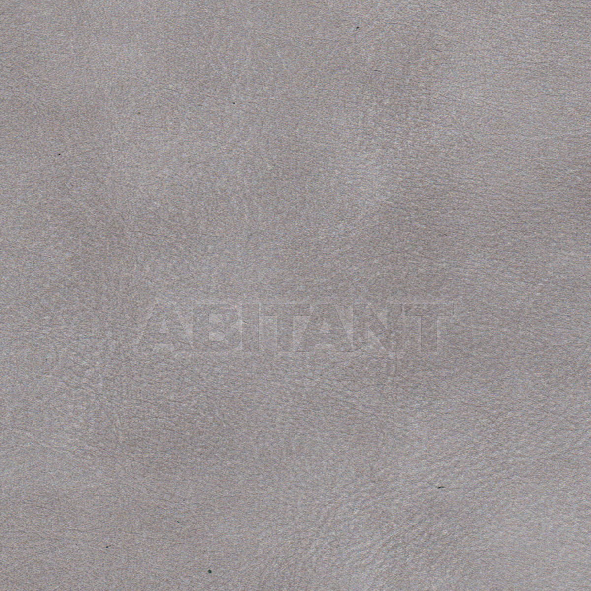 Upholstery TRIBE SILVER price on request Buy Upholstery Taylor King LEATHERS TRIBE SILVER