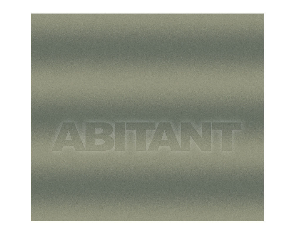 Buy Carpeting Ege  Wall-to-wall carpets RF52952516