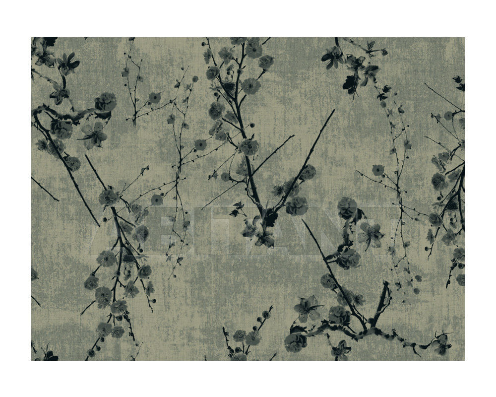 Carpeting RF52952541 price on request Buy Carpeting Ege Wall-to-wall carpets RF52952541