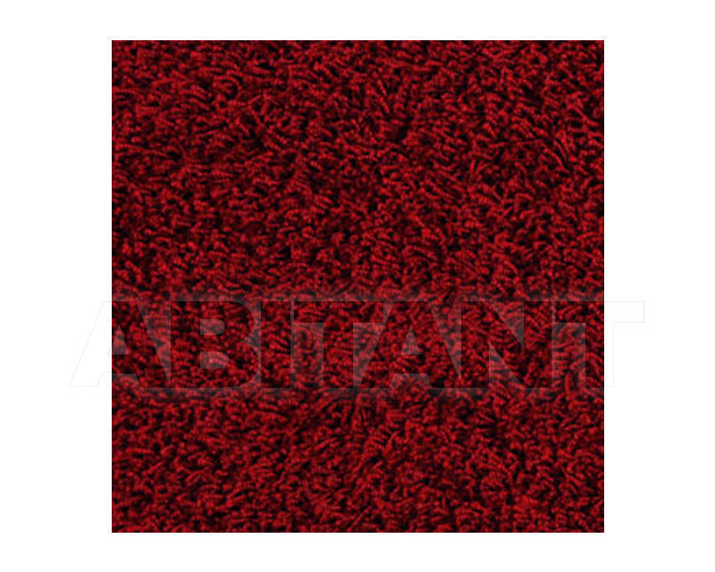Buy Carpeting Ege  Wall-to-wall carpets 0575480