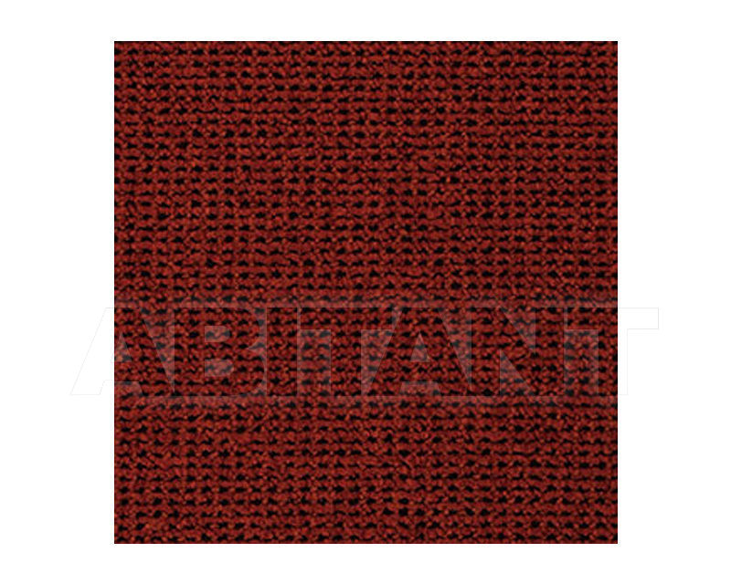 Buy Carpeting Ege  Wall-to-wall carpets 0681450