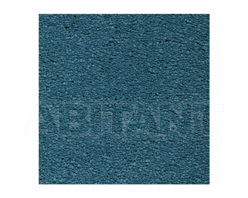 Buy Carpeting Ege  Wall-to-wall carpets 0706555