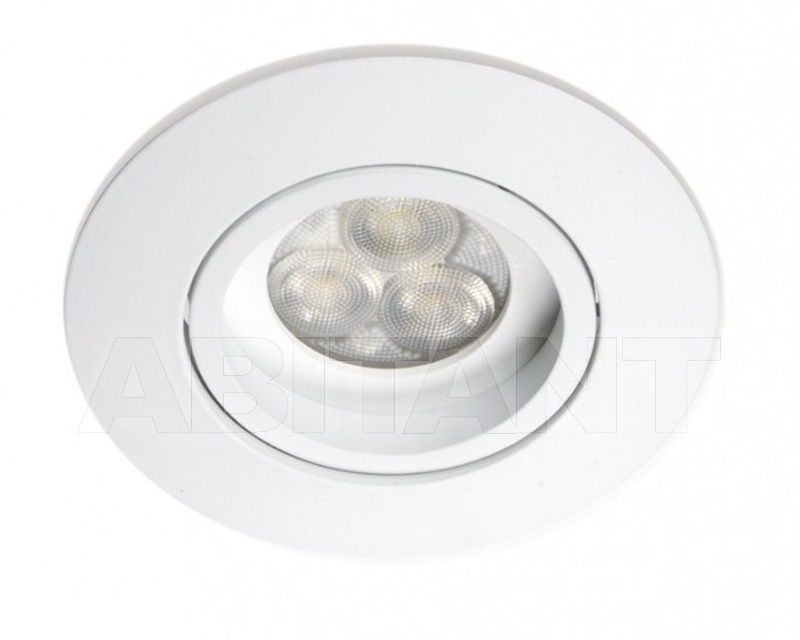 Buy Spot light BPM Lighting 2018 5004.19LED1